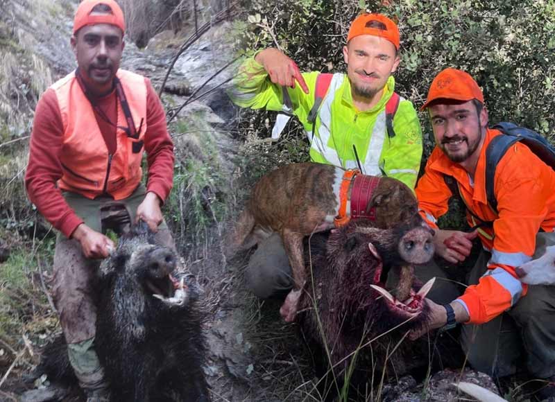 Resultado Montería Las Rosas 2024 S C Alberto García